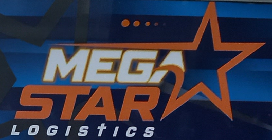 Mega Star Logo